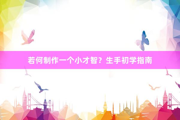 若何制作一个小才智？生手初学指南